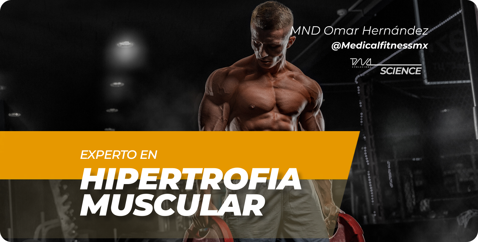 Experto En Hipertrofia Muscular